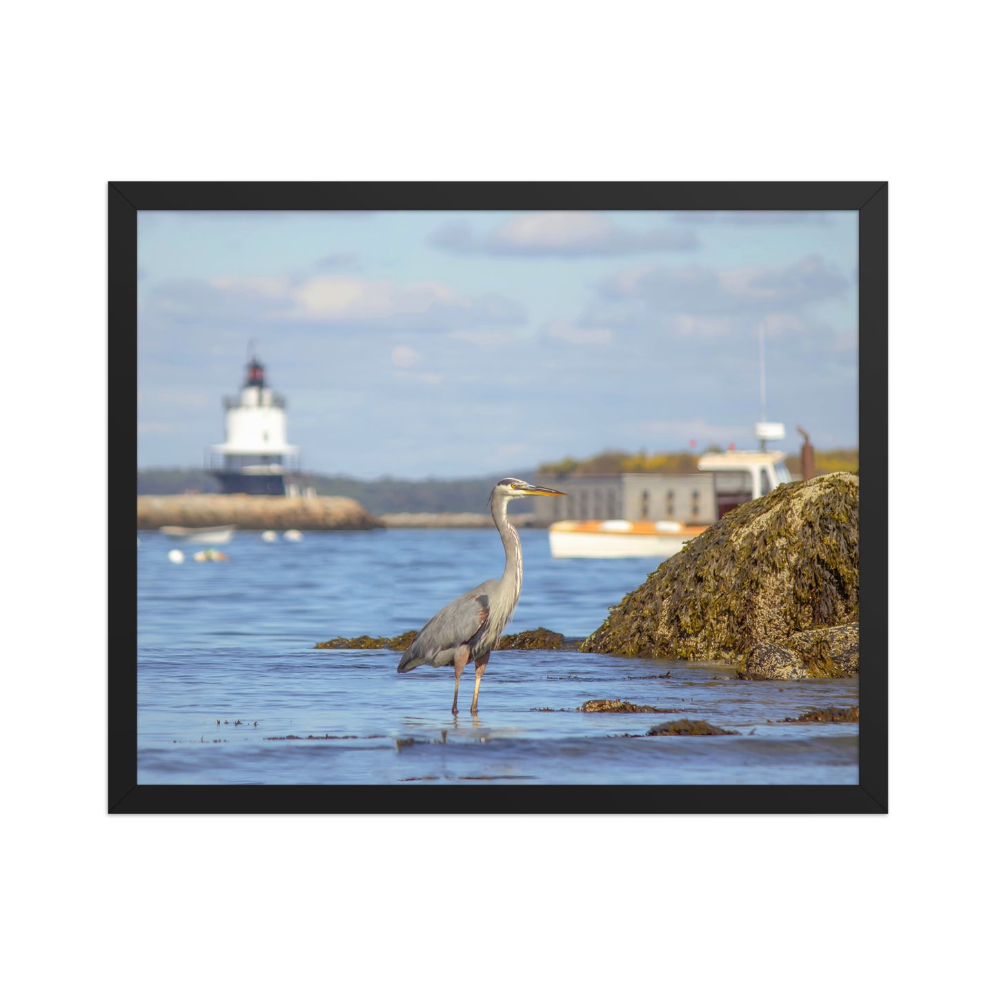 Great Blue Heron at Spring Point Light Photo Print