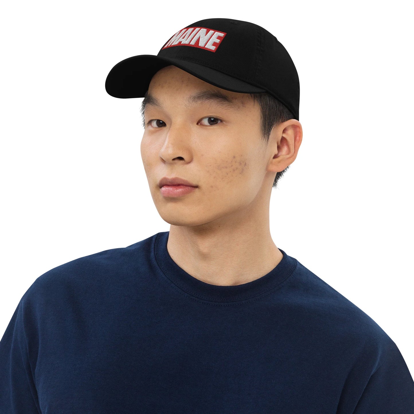 Maine Comics Dad Hat - Funny Maine Comics Baseball Cap
