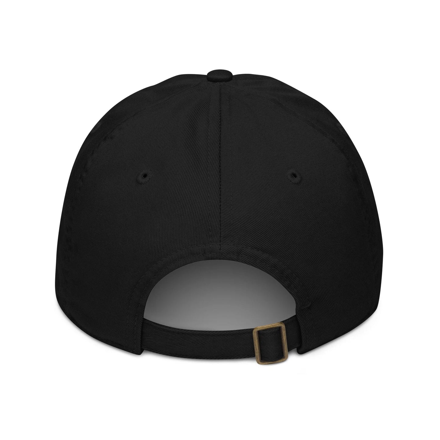 Maine Comics Dad Hat - Funny Maine Comics Baseball Cap