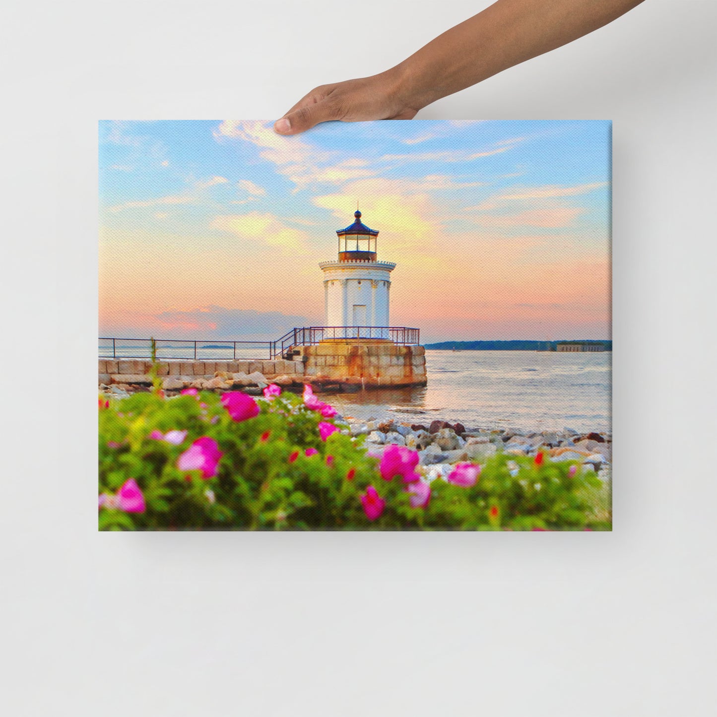 Sea Roses at Bug Light - Portland Maine Lighthouse Photo