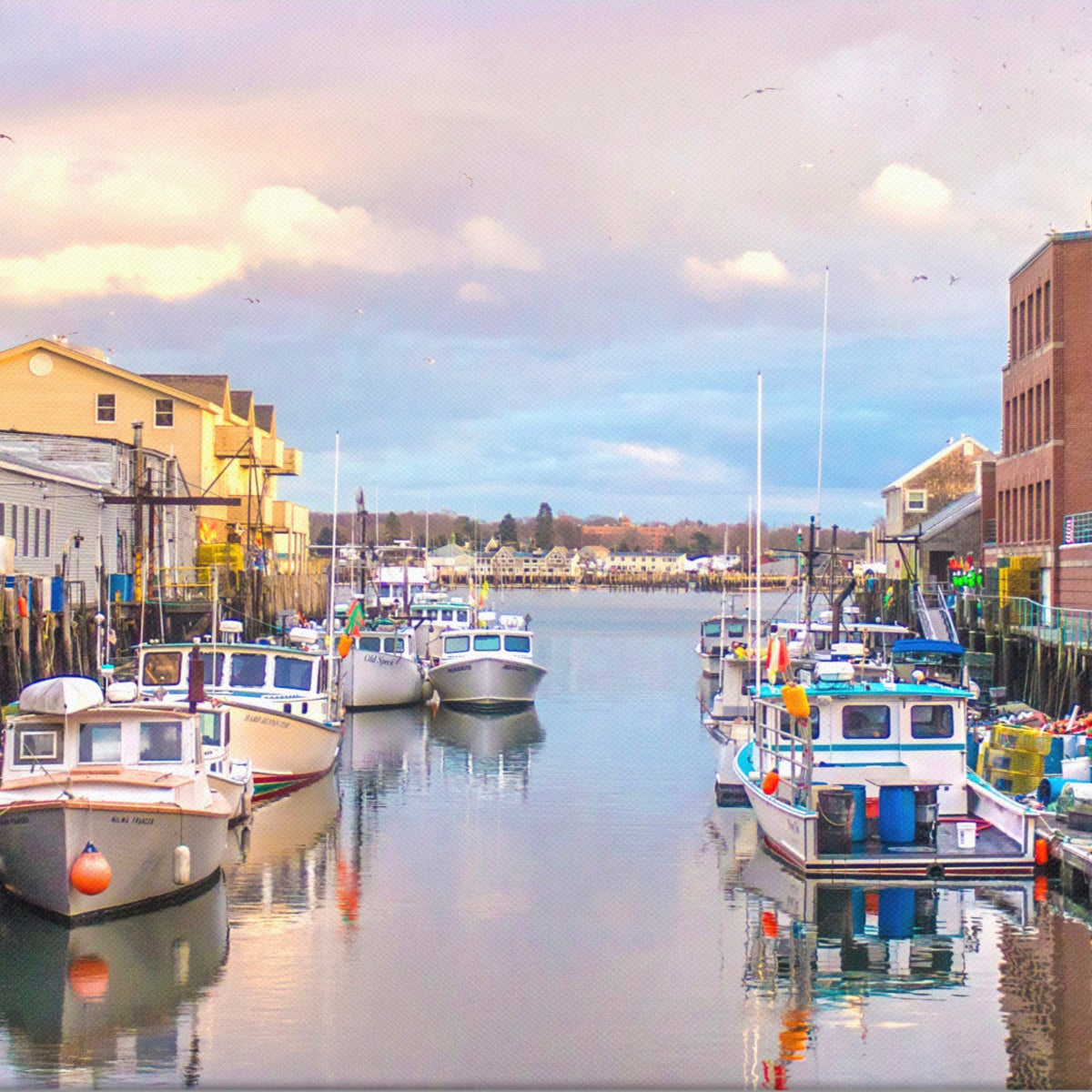Lobster Boats at Portland Pier Photo