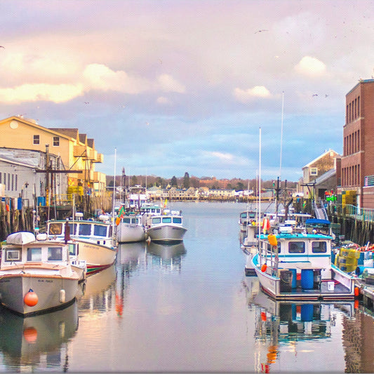 Lobster Boats at Portland Pier Photo